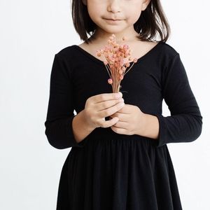 Alice and Ames twirl dress